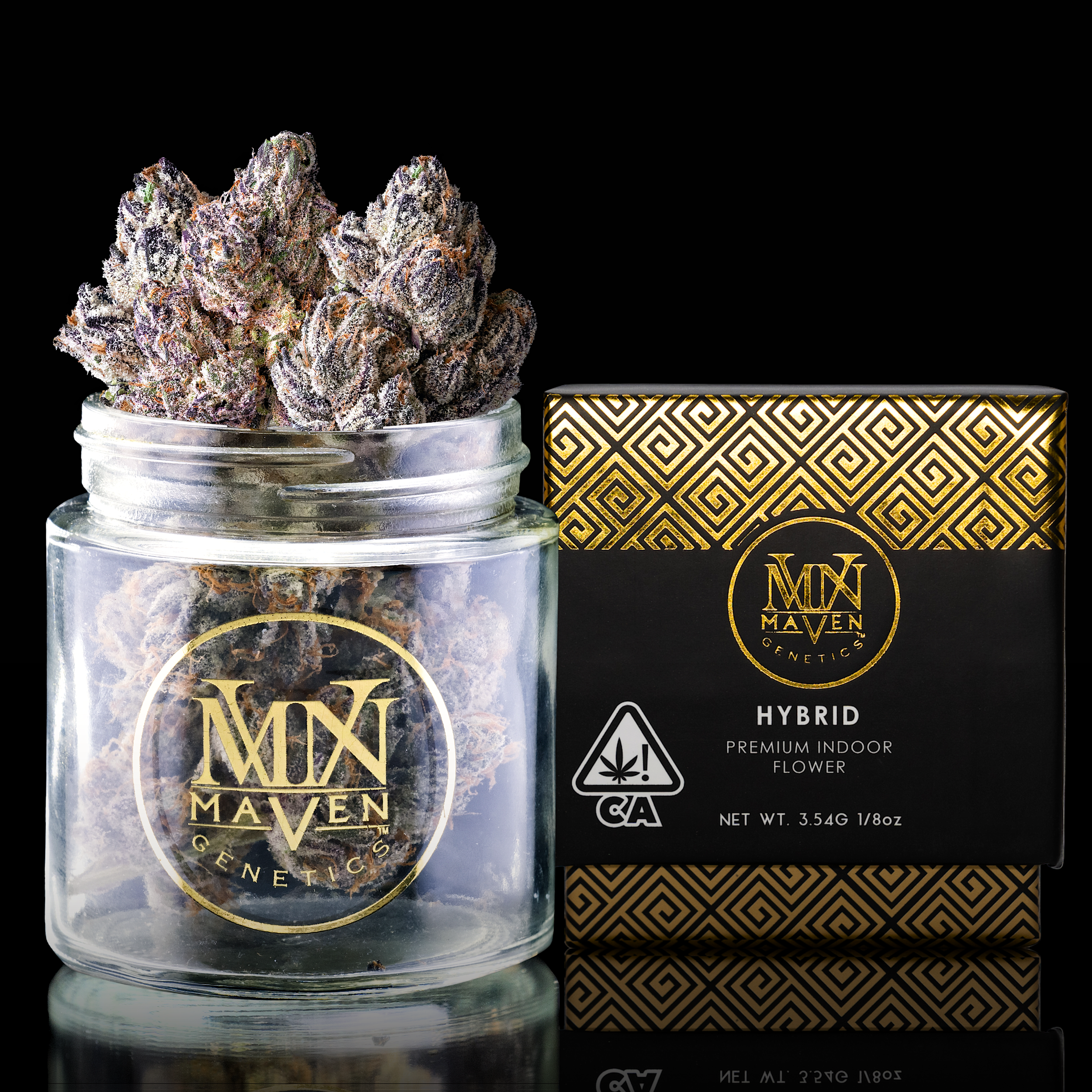 Lipsmackerz — Maven Genetics